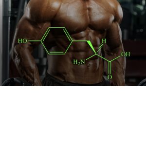 Extreme Mass Builders